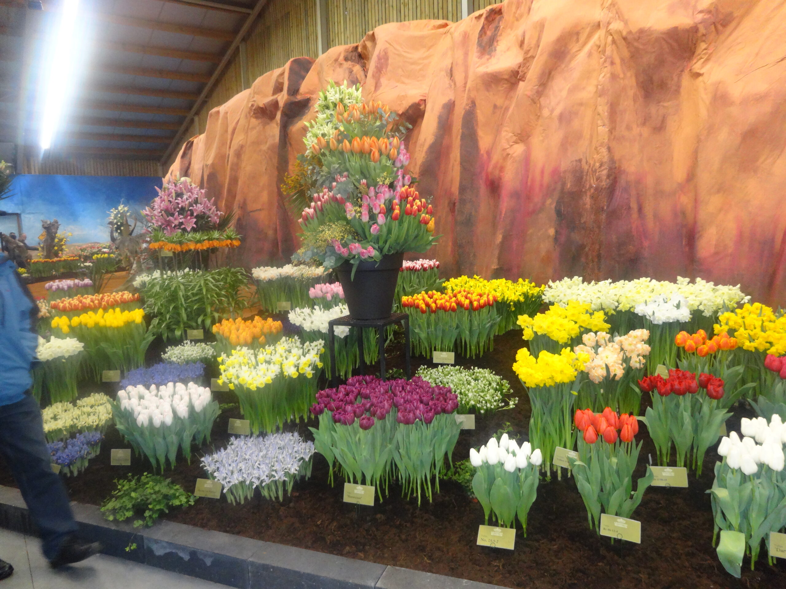 Reisverhaal over Japan