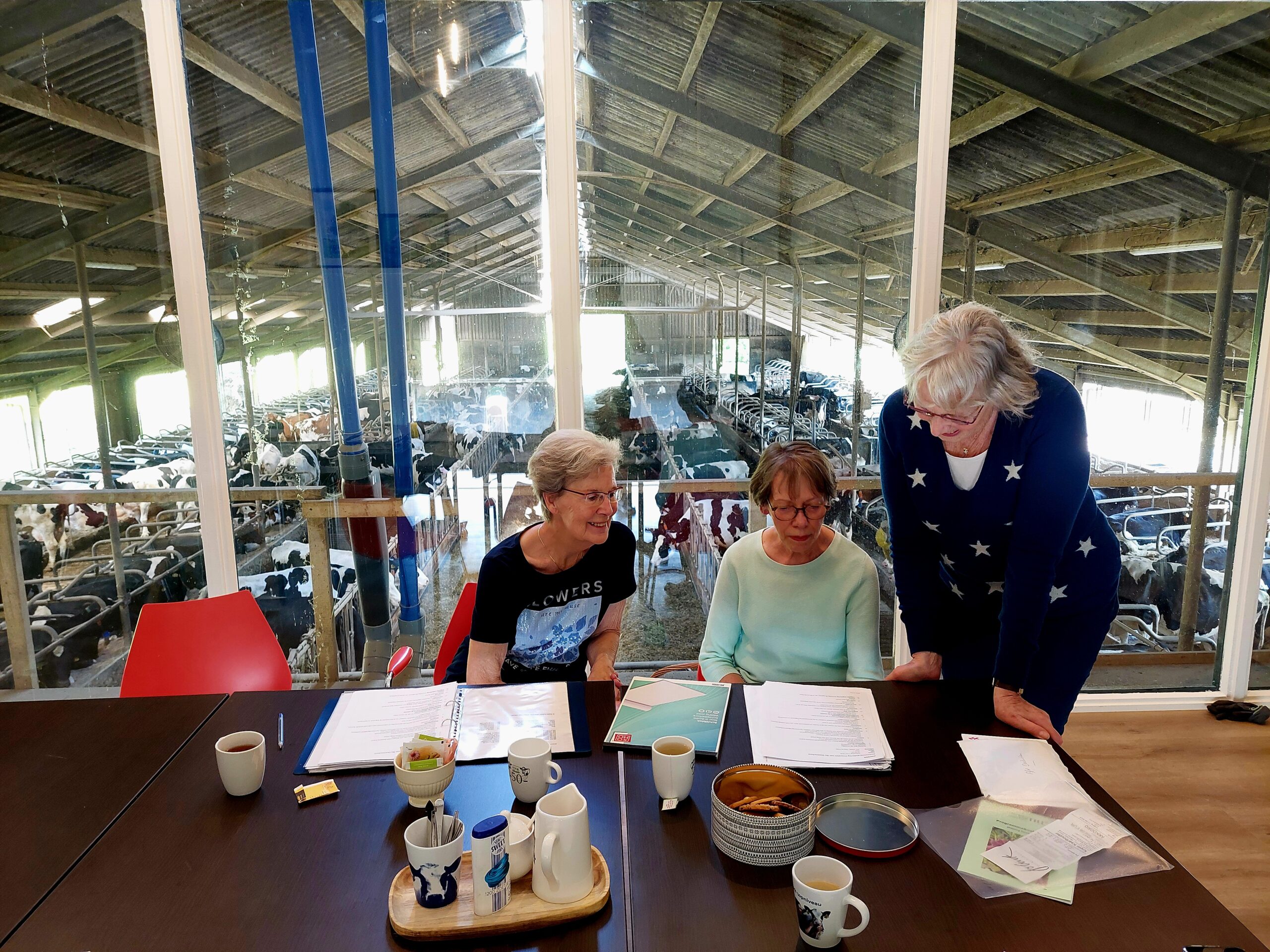 De laatste bestuursvergadering voor het zomerreces was een bijzondere: in de koeienstal van de boerderij van Thea Remmelink, een leuke ervaring!