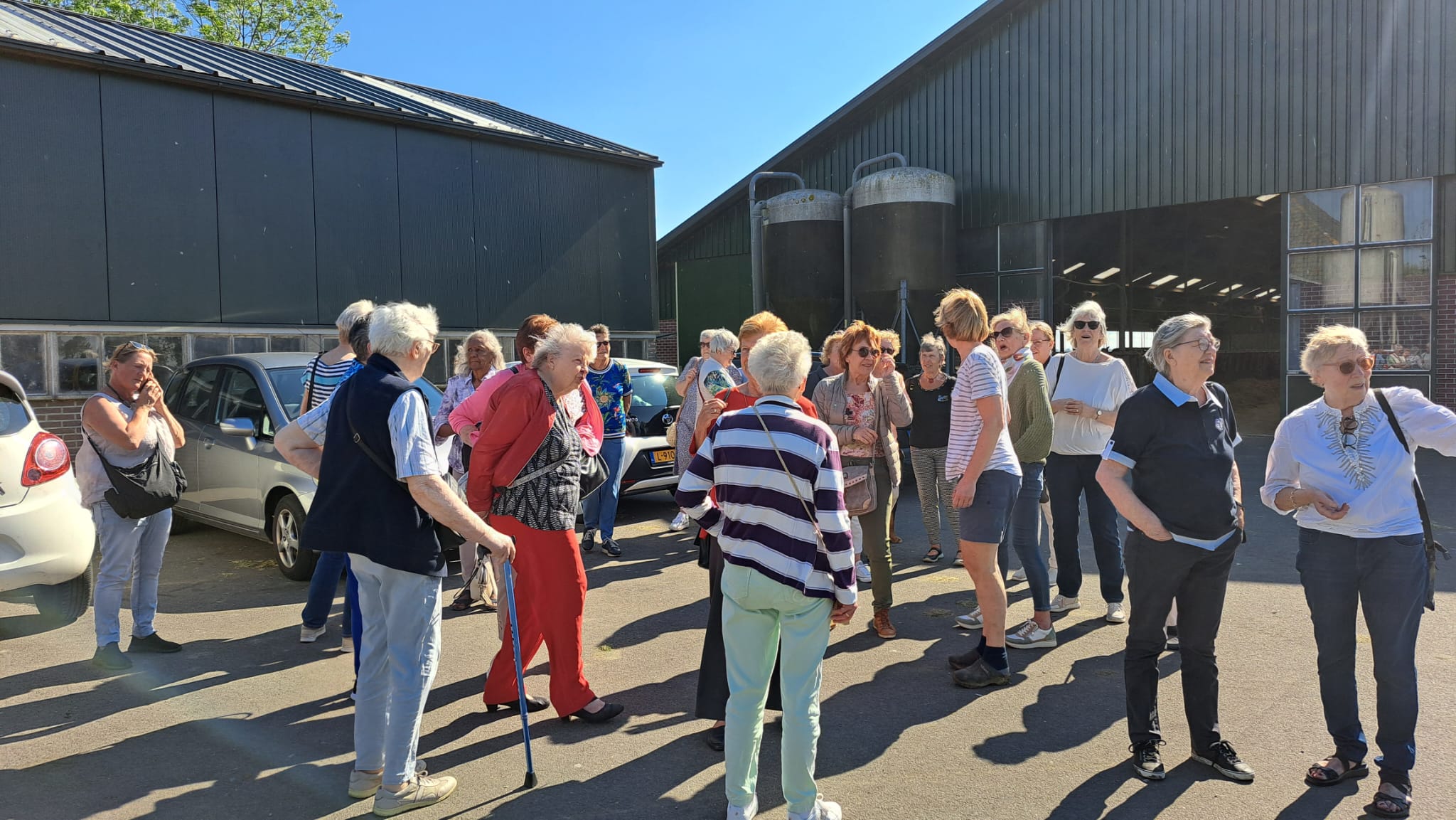 Bezoek boerderij koezicht westbeemster 14 mei