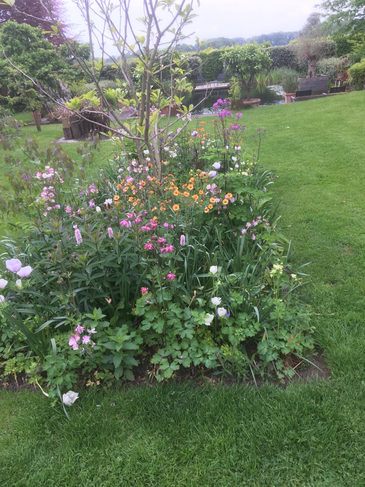 2024 mei – Tuinclub Bloesem heeft een bezoek gebracht aan de tuin “Grondig Genieten” in Lochem