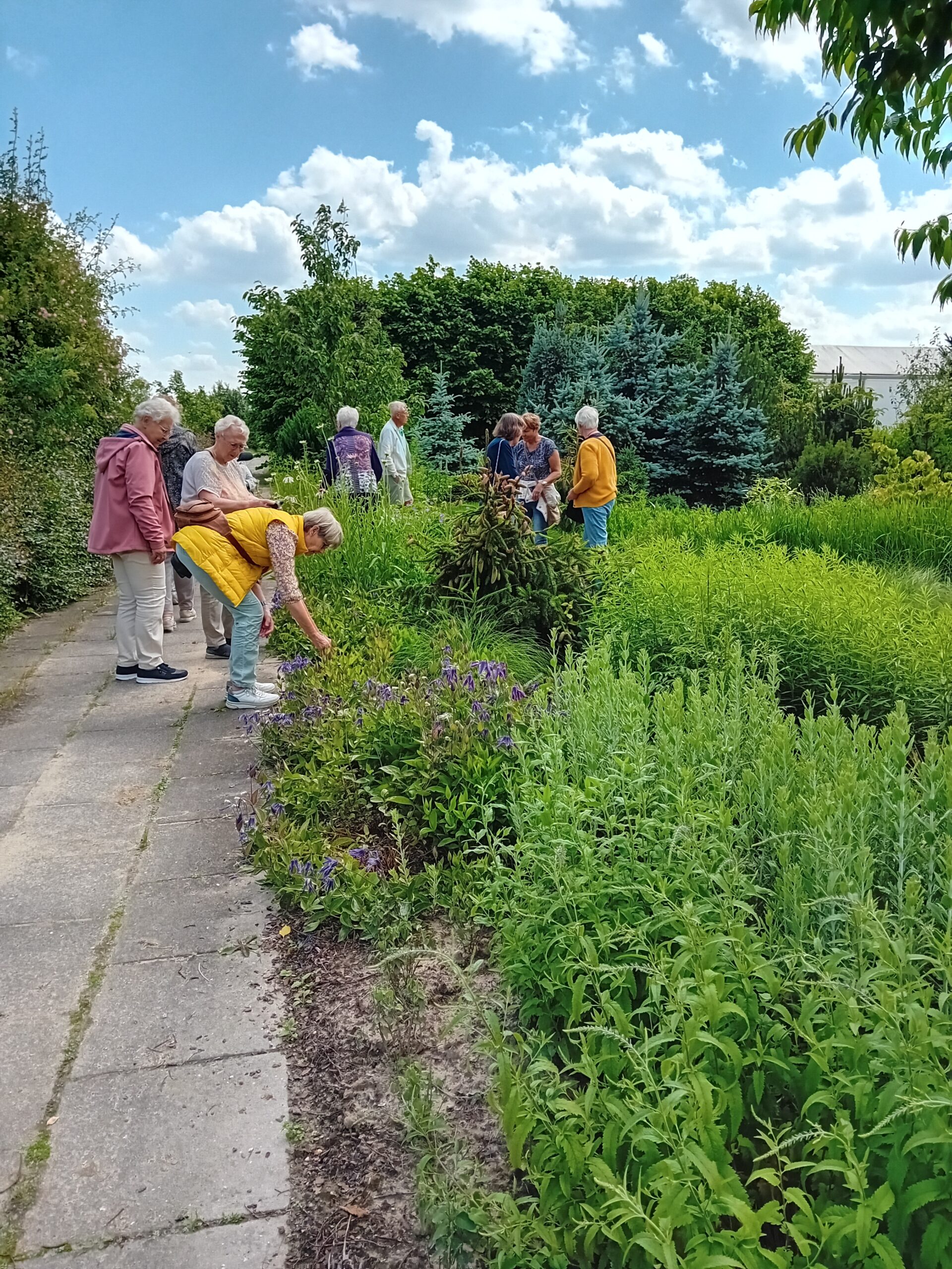 2024 juni – Tuinclub Bloesem bezoekt de Prunushof