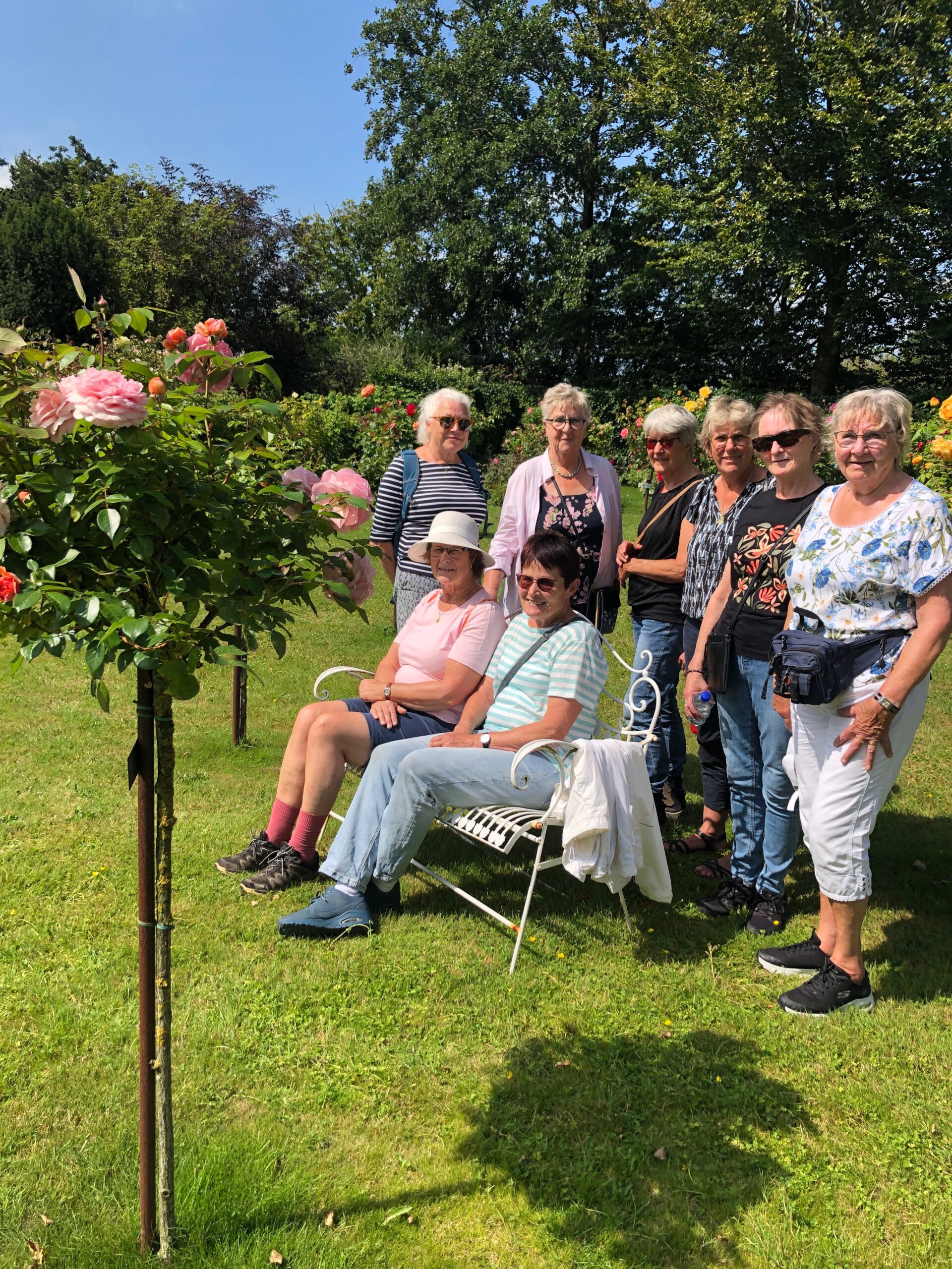 Wandeling Waterberging de Groene Pade en Rosarium “ De Rozenhof “