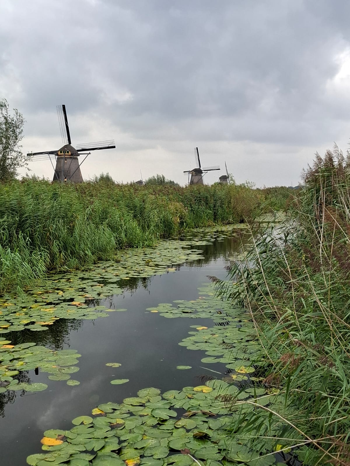 Fietsdag 3 september