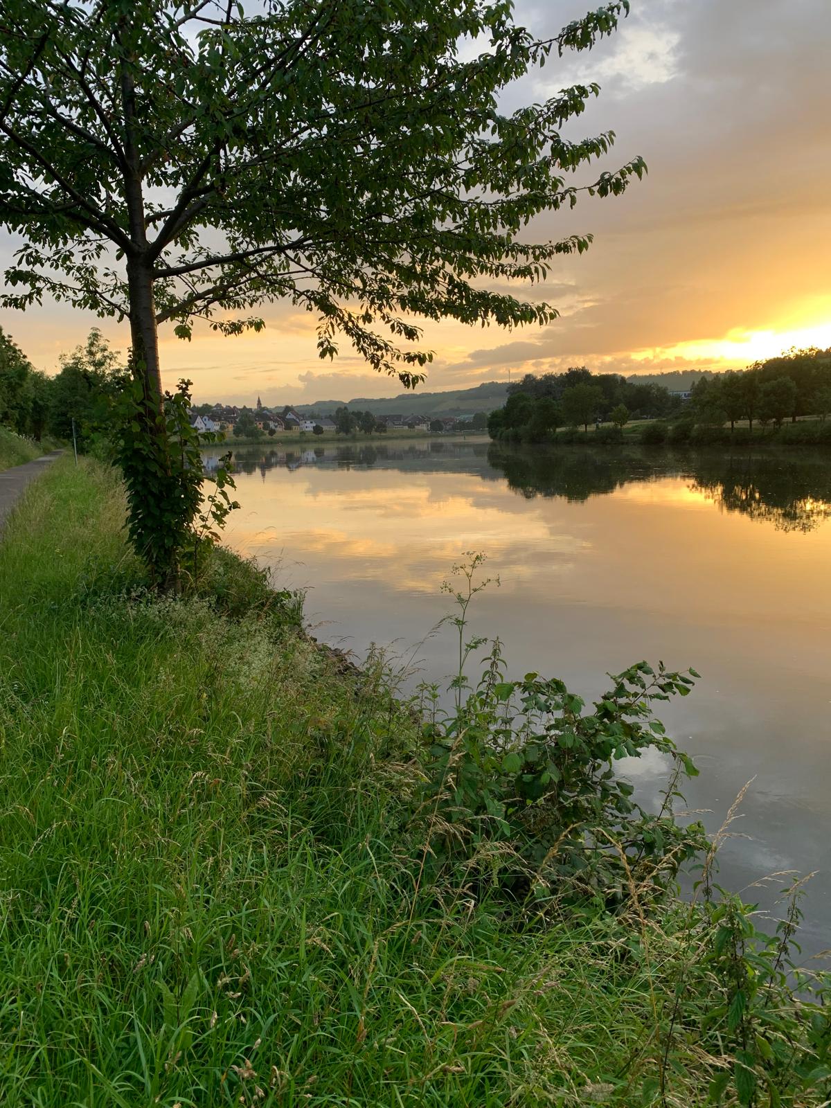 Verslag: Zomerreis Moezel Wasserliesch 17 – 24 juni 2024