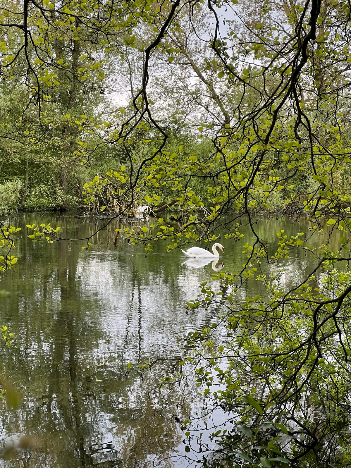 Foto’s Provinciale wandeling van Herxen naar Windesheim donderdag 25 april 2024