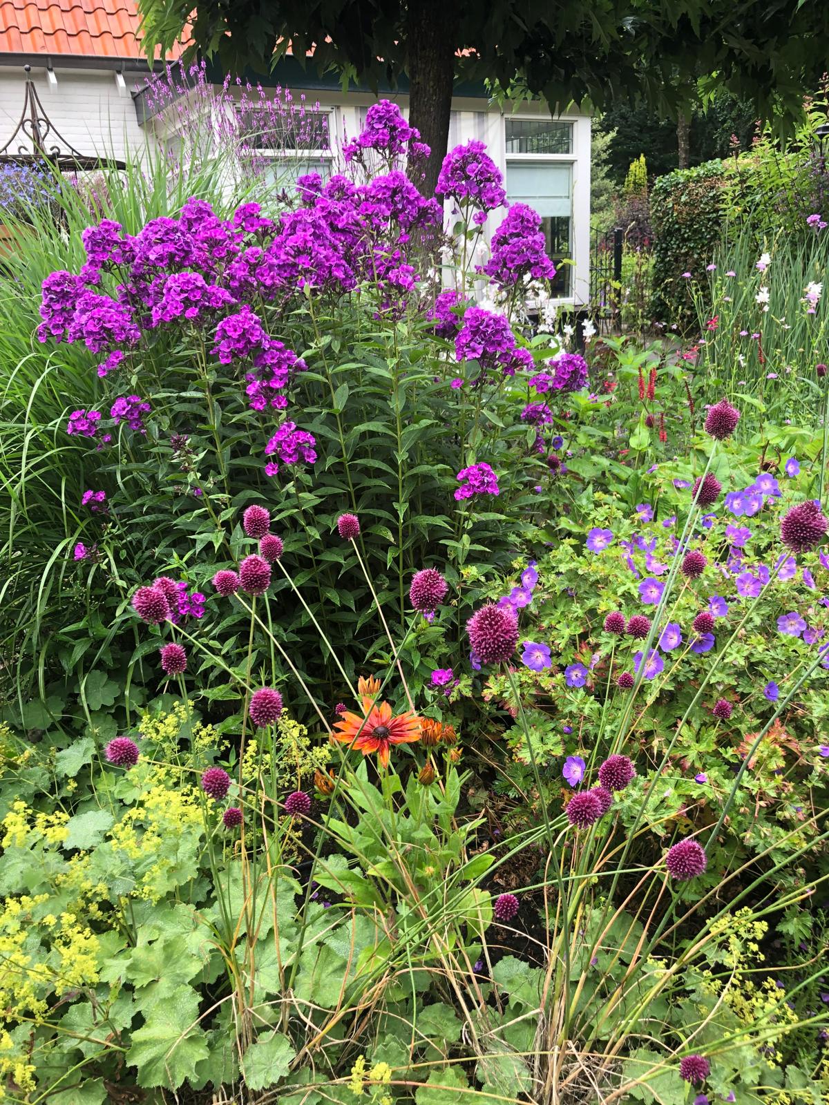 Bezichtiging tuin Nieuw Baarlehof Schalkhaar dinsdag 21 juli 2026