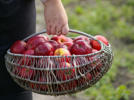 Tuinclub Beilen Appelrillen bij Geesje