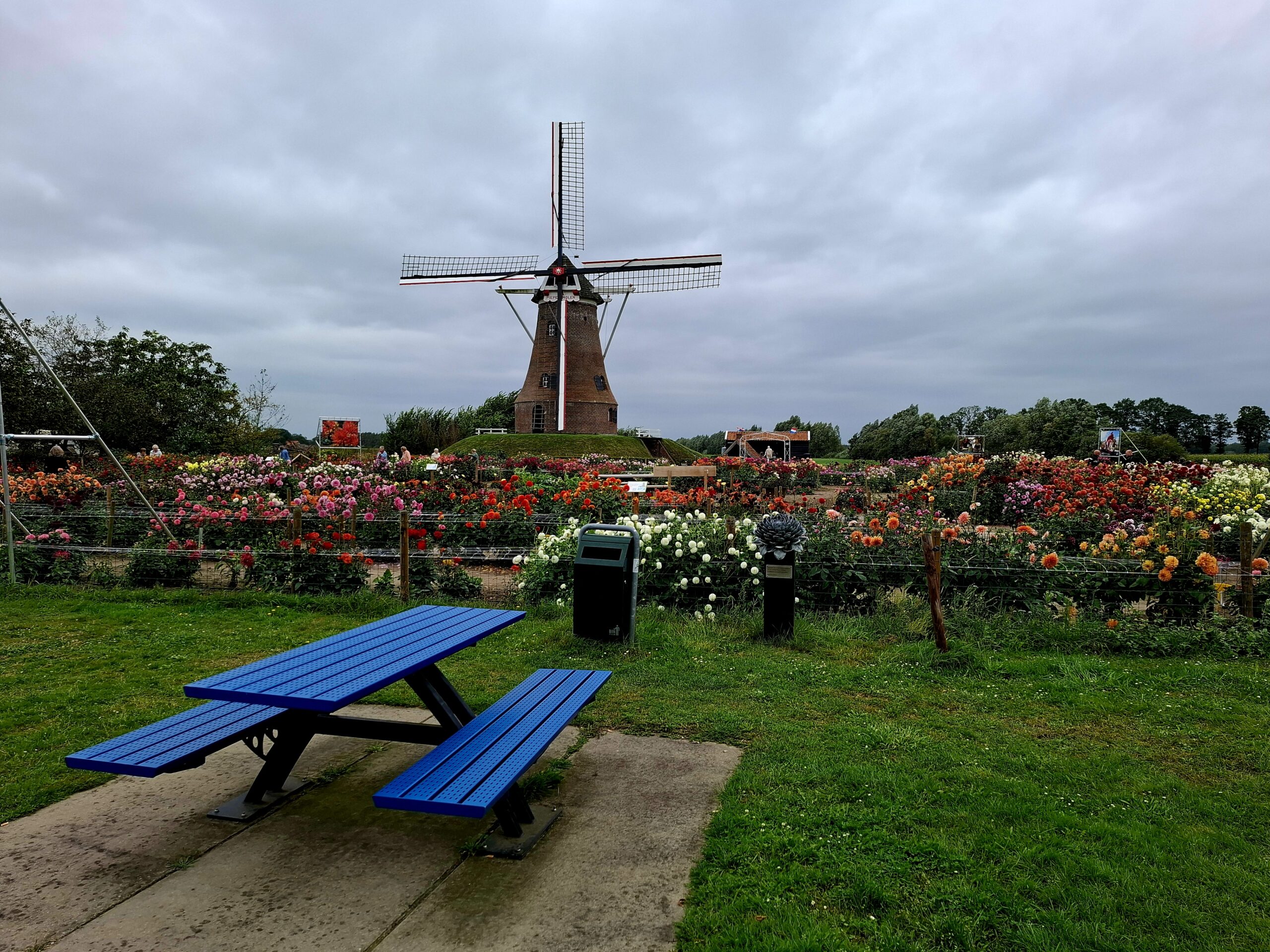 Groeninfodag 10 september 2024. Met 13 dames van de afdeling Doetinchem bezochten we de Groeninfodag. Het was een prachtige dag, we hebben er van genoten. Bekijk ons fotoalbum, dan kunt u zien waarom.