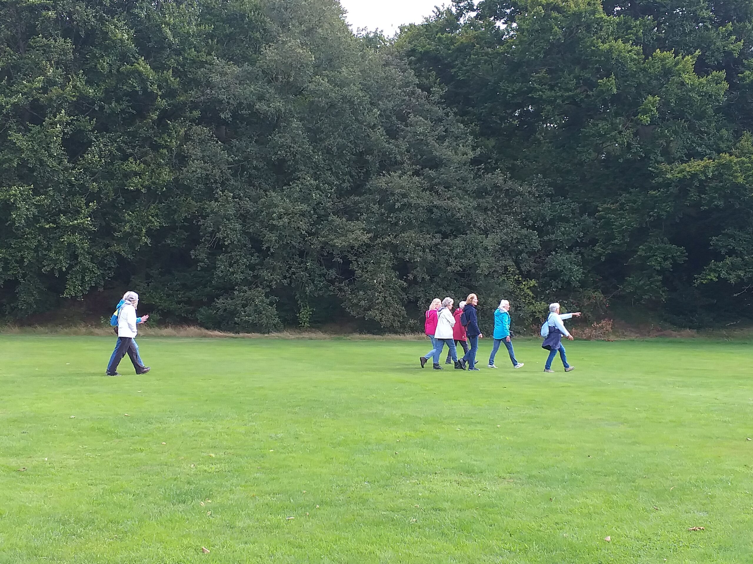 wandeling vanuit Zwolle