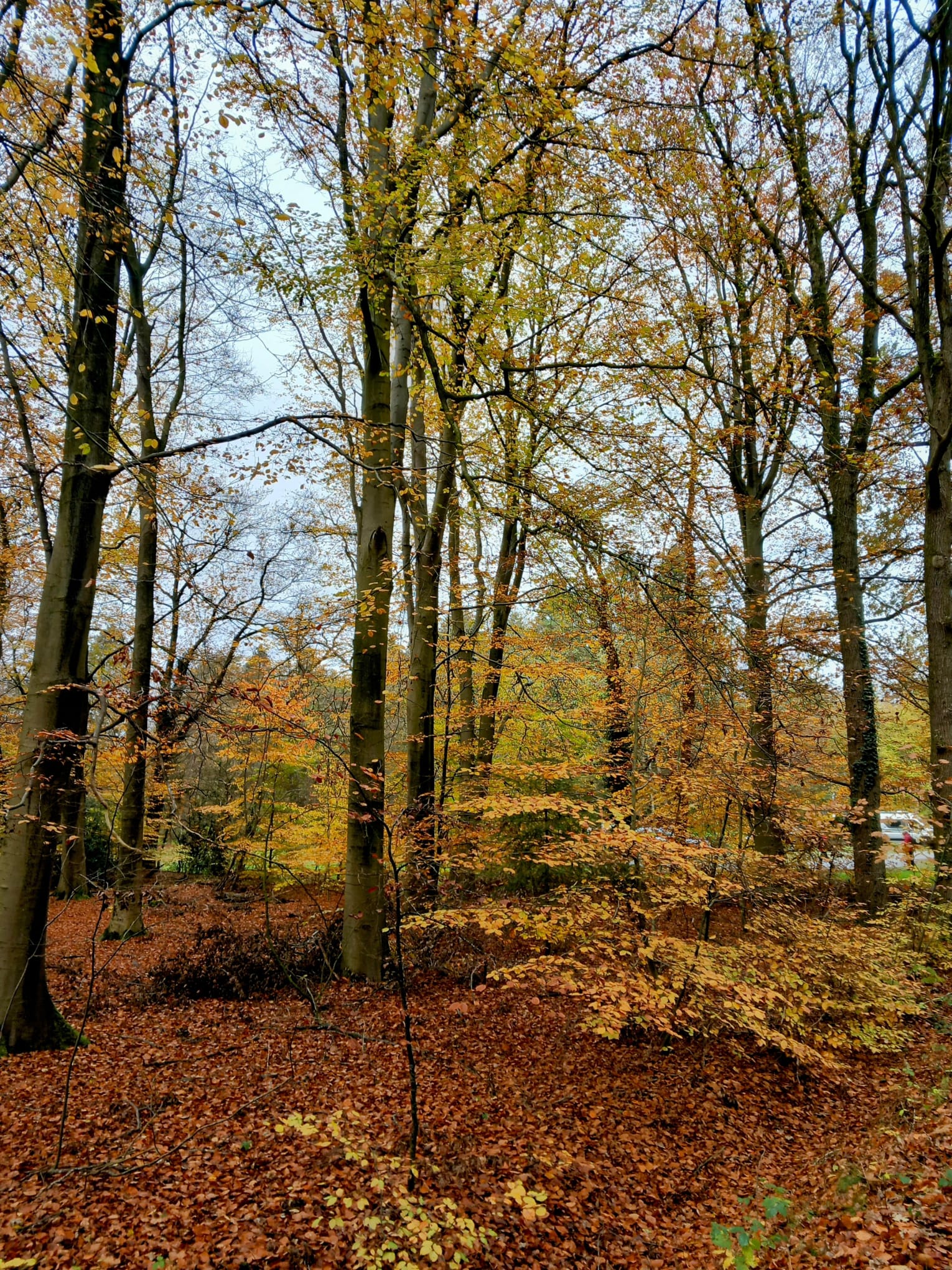 de activiteiten tot en met Mei