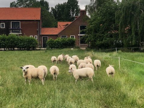 Agrarische excursiedag (voorheen PR-dag)