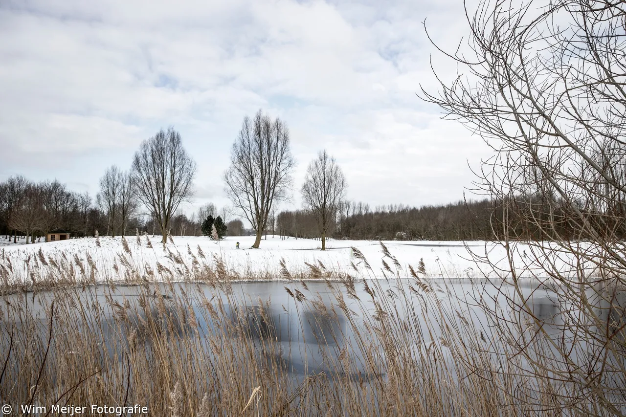 Afdeling Haarlemmermeer