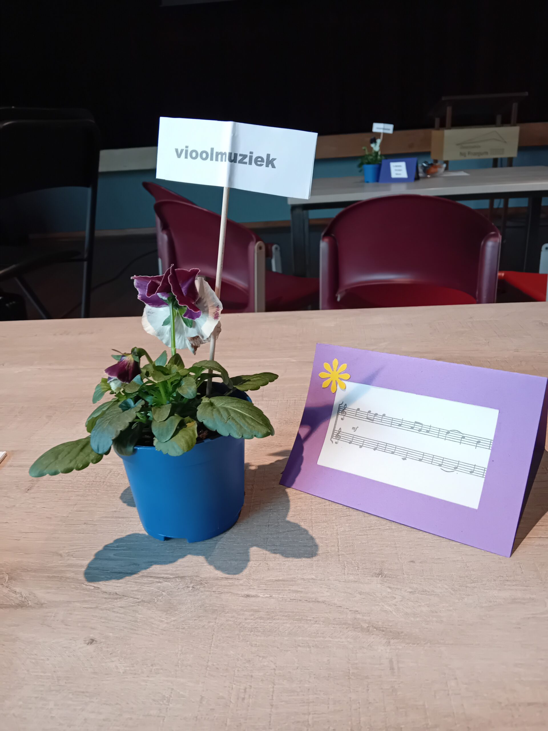 Muzikale afdelingsmiddag op 18 februari 2025