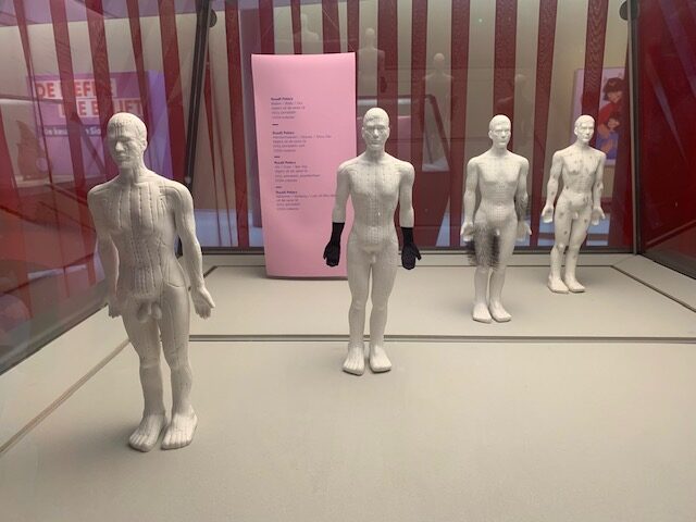 2025 februari – De ROZENBOTTELS zagen een prachtige tentoonstelling in CODA Apeldoorn