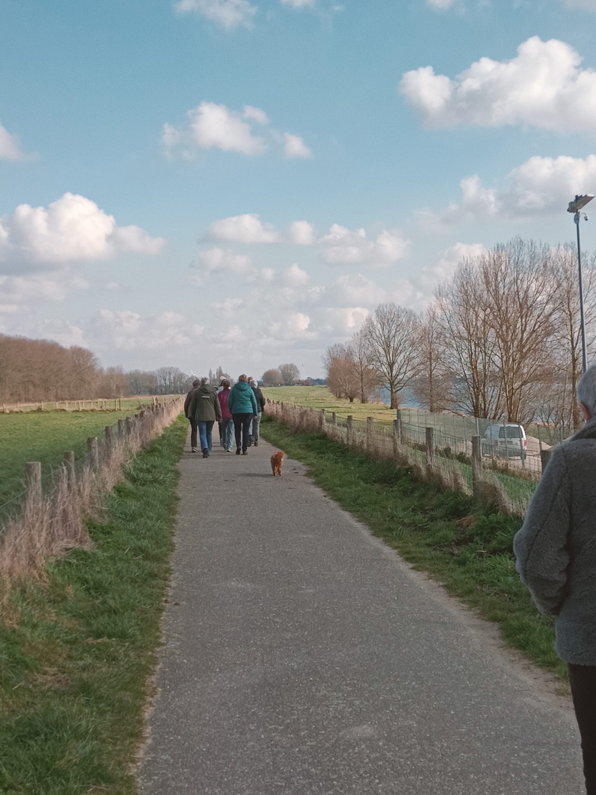 Wandeling VvN op 25 februari 2025 langs de Bergse Maas