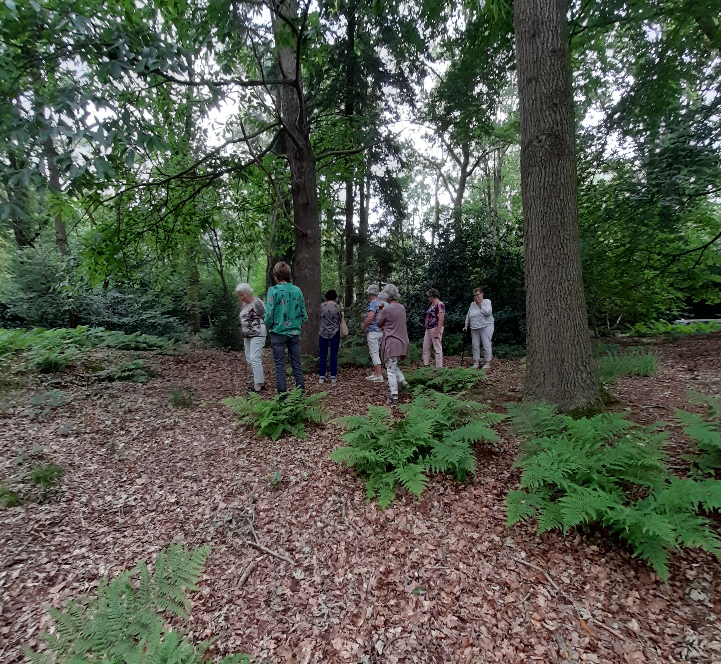 Tuinclub.