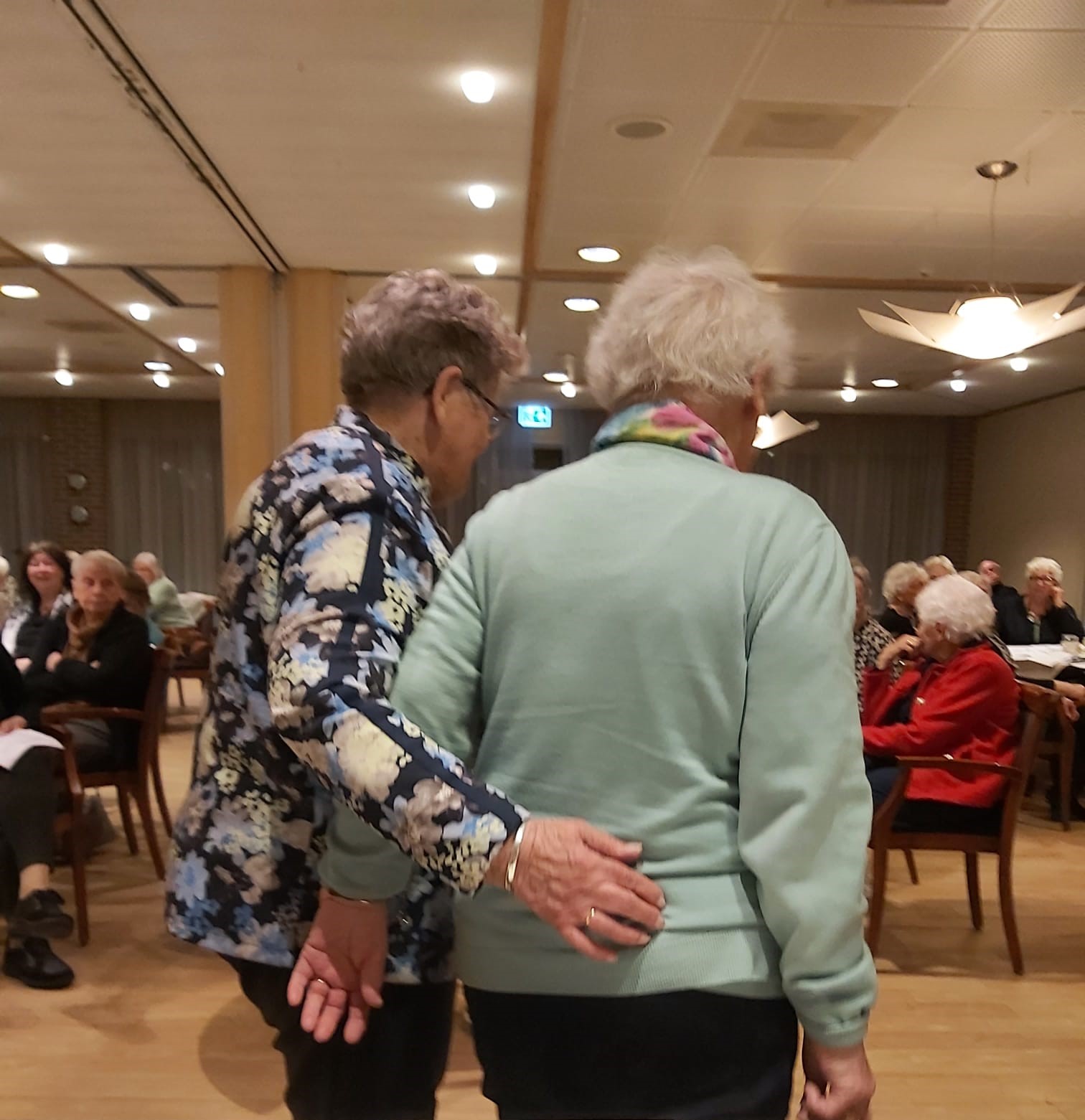 Jaarvergadering 2025, afscheid van Willy Vos (bestuurslid en toegetreden Geja Schuiling. Jubilarissen: 60       jaar Truida van der Ark, Mieke Buitenkamp, Harmtje de Vries, 50 jaar Mona Bodde, Dineke Dik en Janny Middel..Ineke Venema heeft de resicommissie verlaten.  Na de vergadering gaf dhr. Hachmer een lezing over de ontwikkeling van de Jugendstil in Groningen.