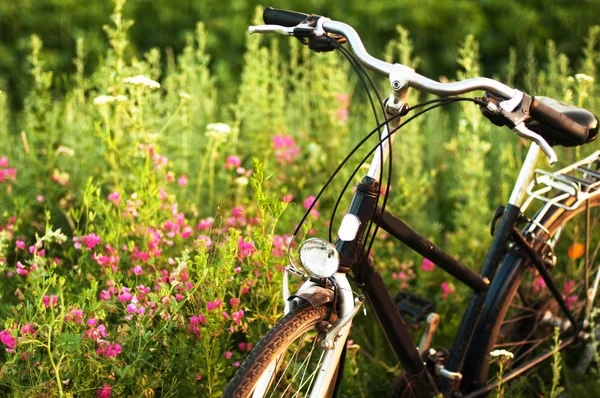Fiets De Boer Op