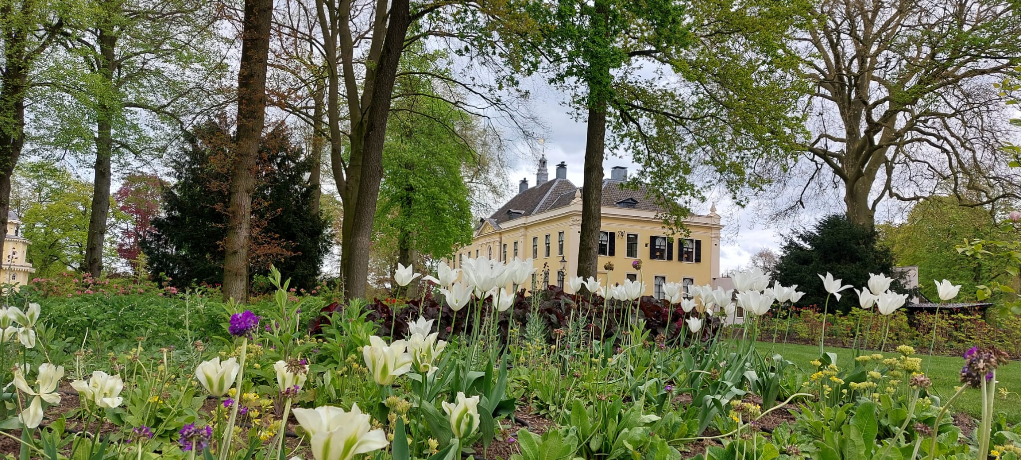 Tuinclub