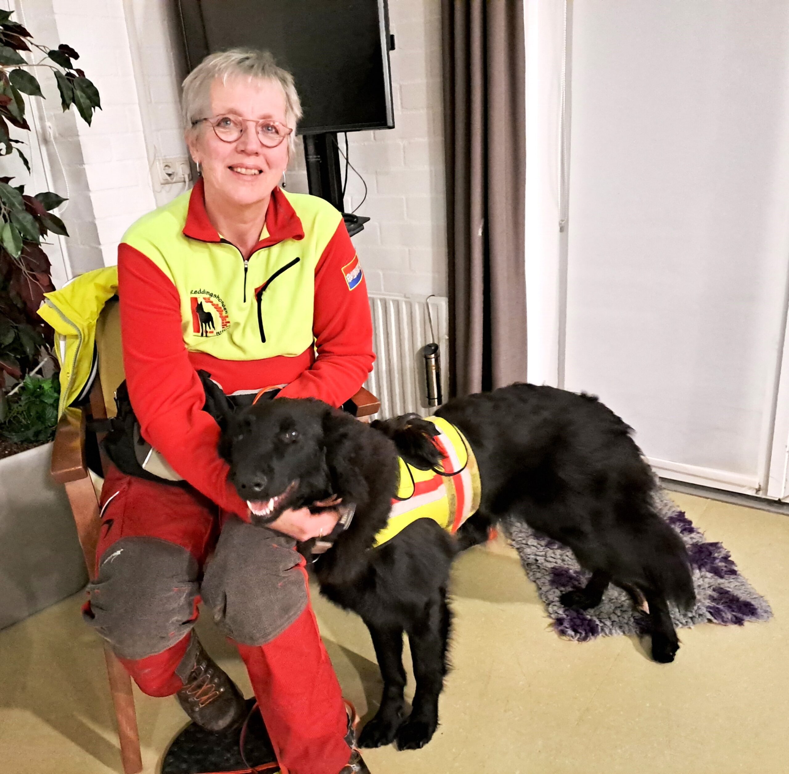 RHD Reddingshonden 17 maart 2025