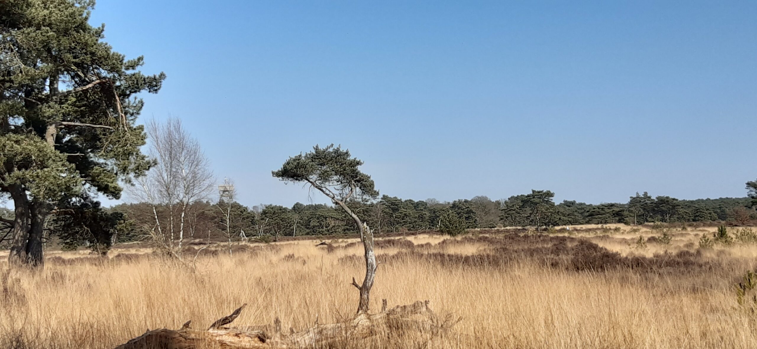 Wandelen Kalmthout