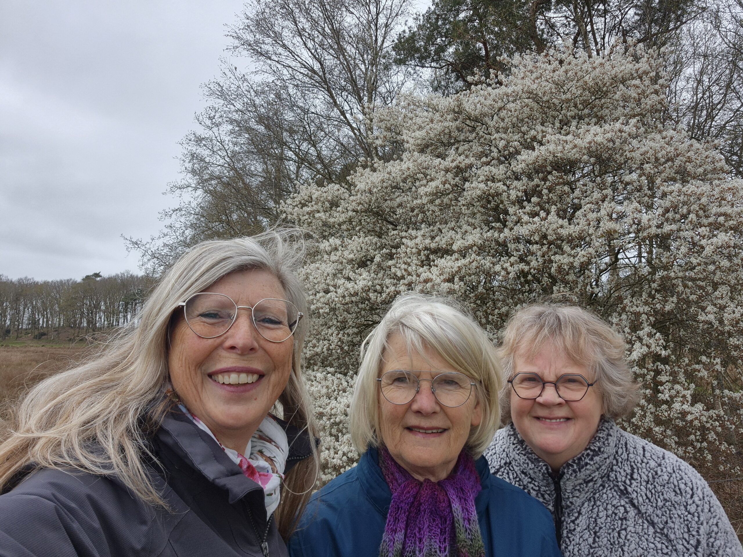 Wandelen tussen de Krentenbloesem