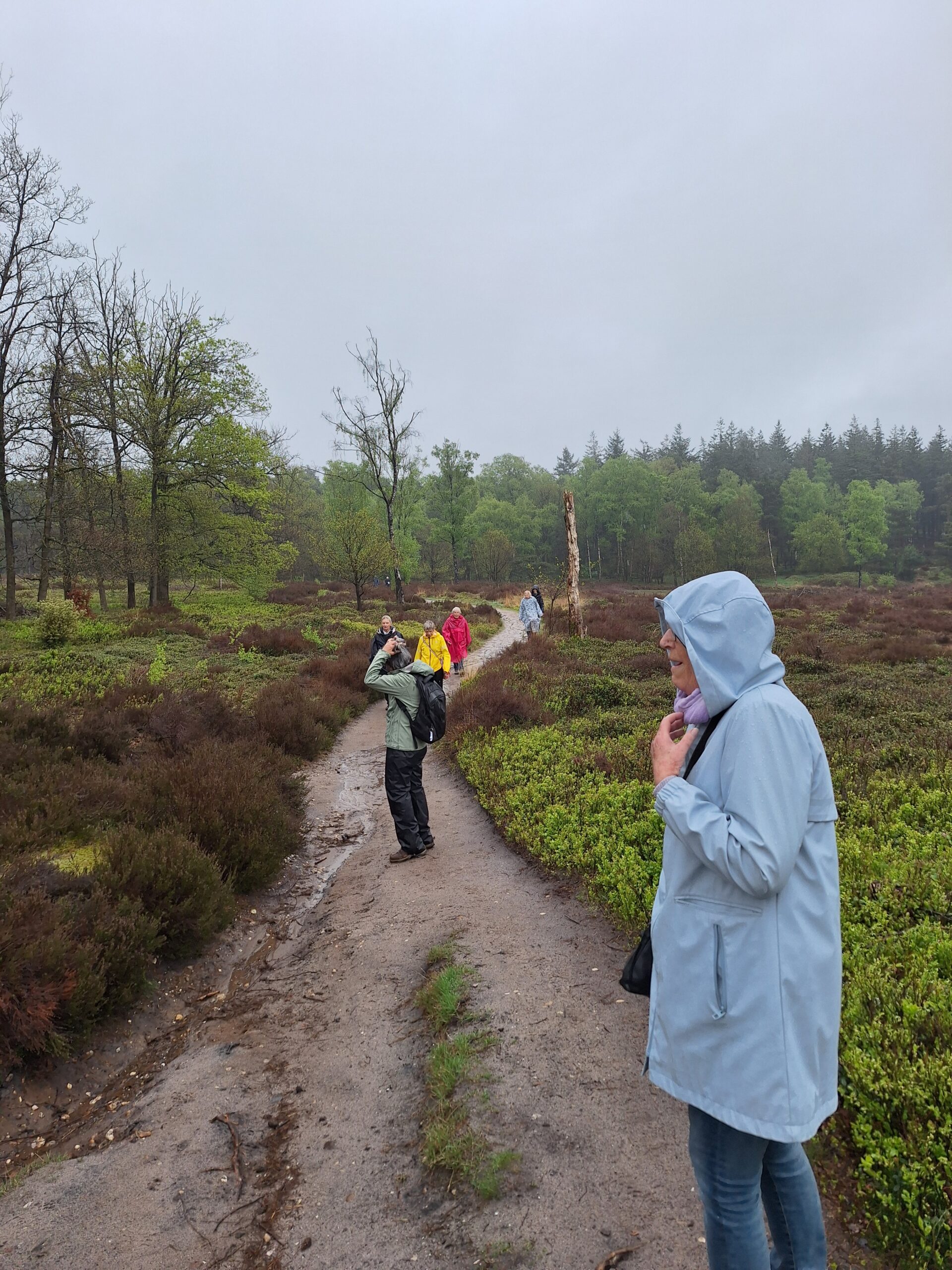 Overijsselse wandeling Holten 24 april 2025