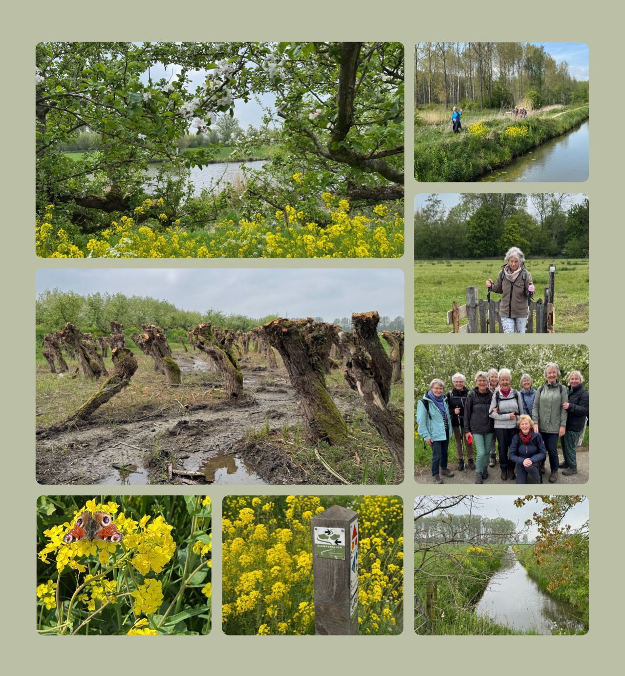 22 april 2025 bloesemwandeling Betuwe