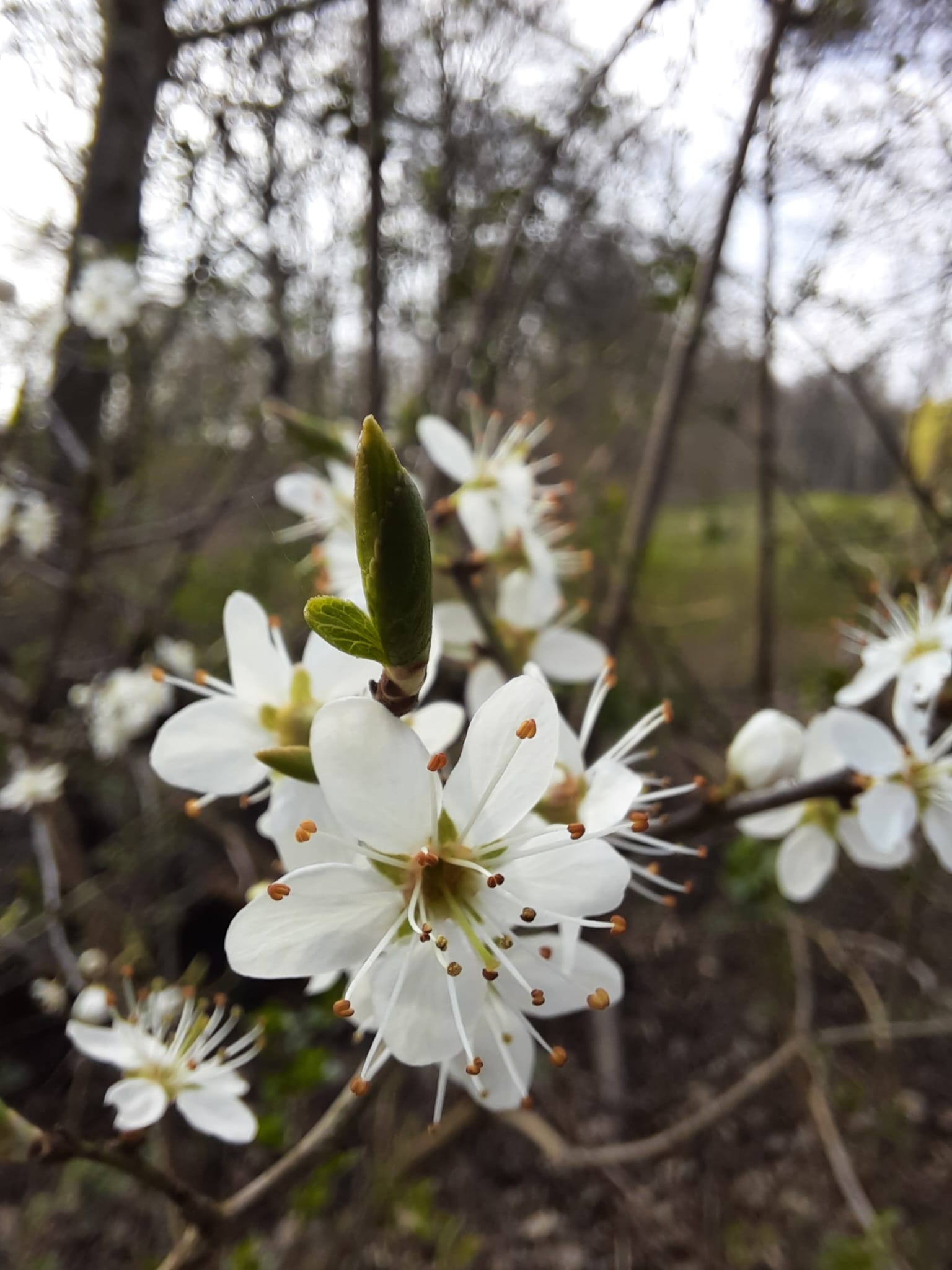 De Nieuwsbrief Januari 2026