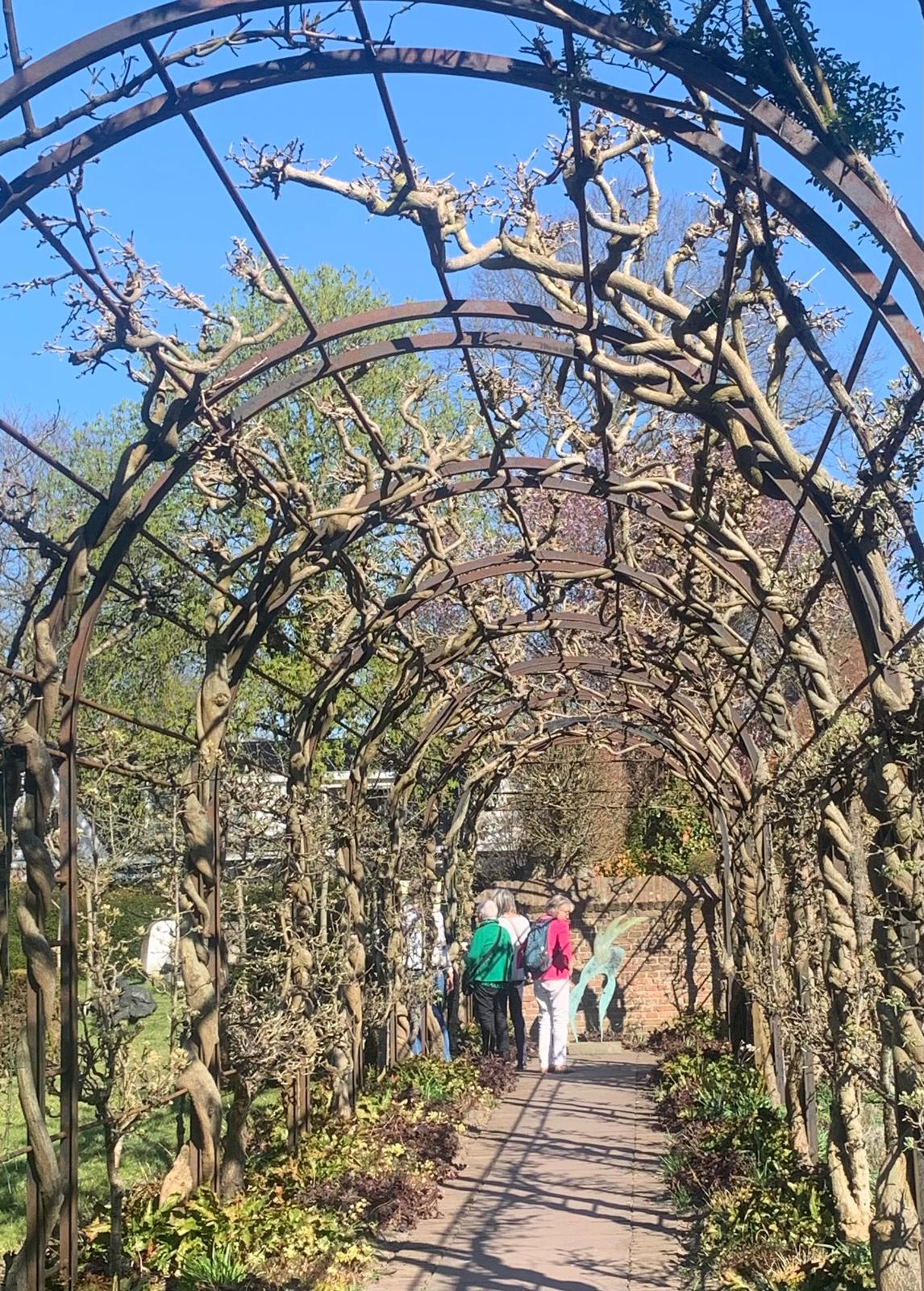 Museum De Buitenplaats Eelde (Power to the Flower)