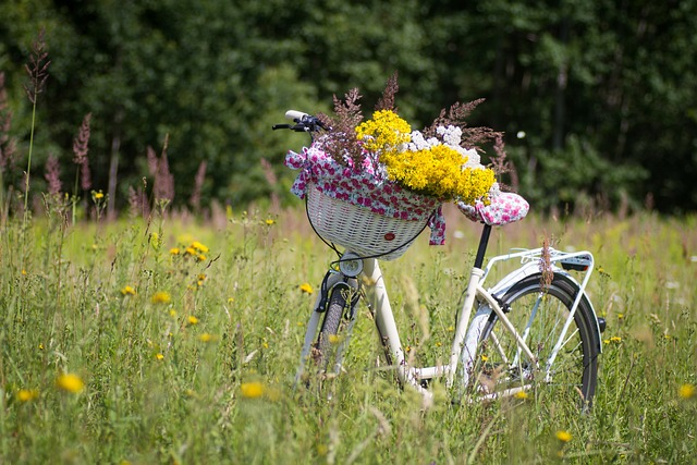 Fietsclub