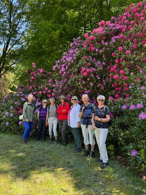 13 mei 2025 Rododendron wandeling Het Oude Loo