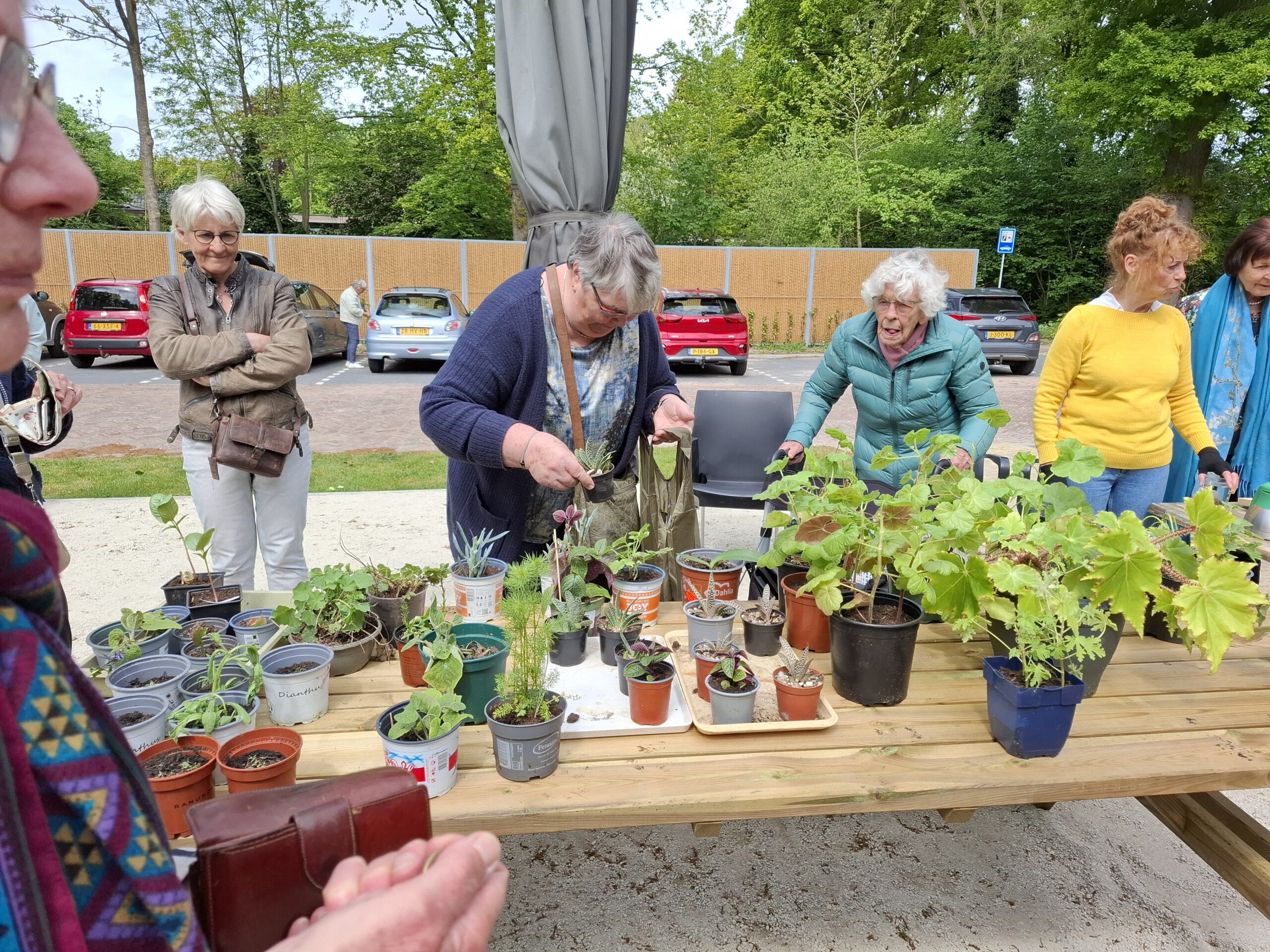 Stekjesmarkt 07-05-2025, zeer succesvol en prachtig weer erbij!