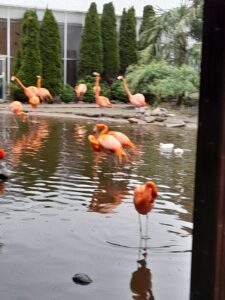 IMG-20250423-WA0006