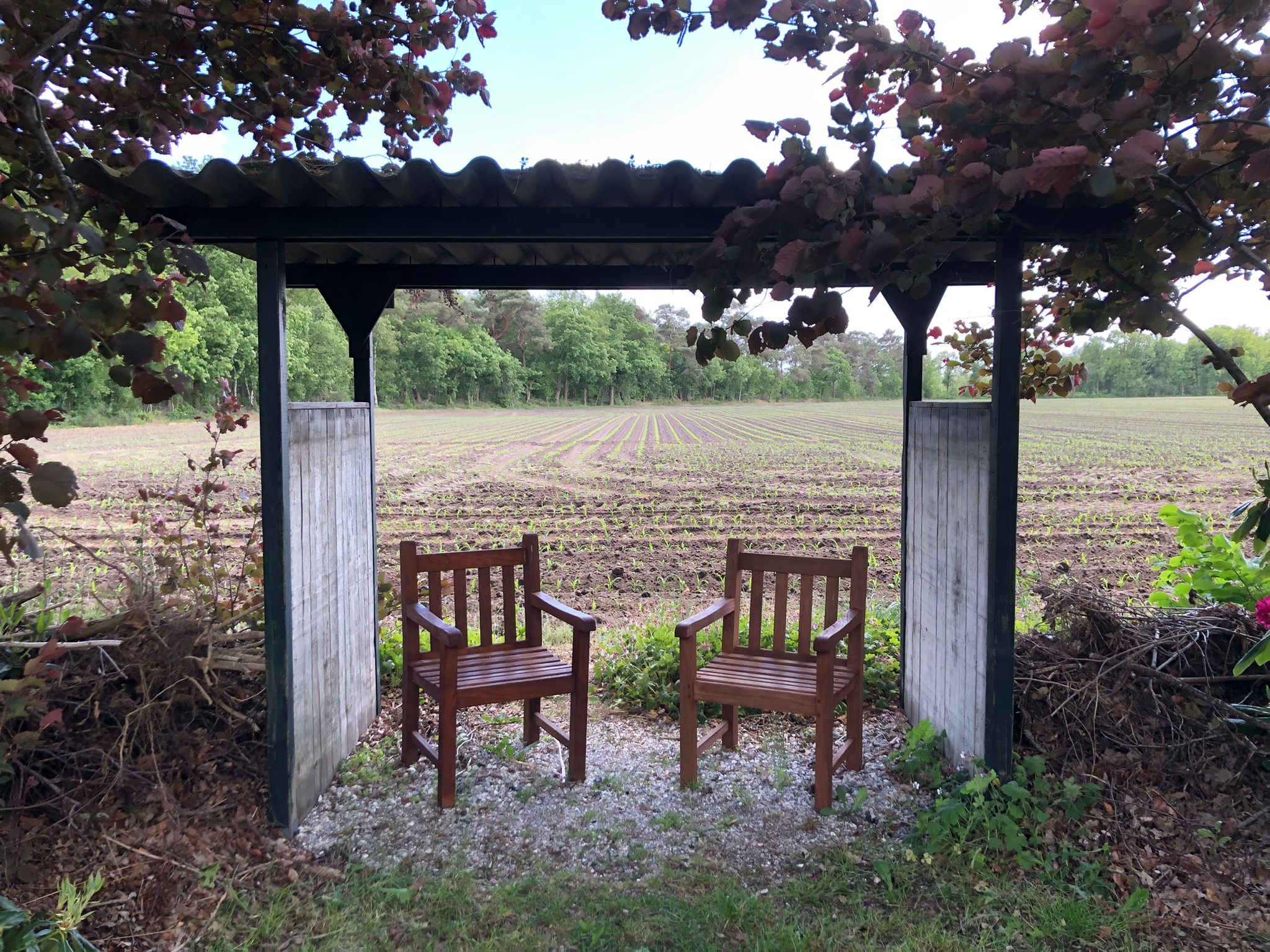 2025 de tuinclub bij De Luie Tuinman in Ruinen
