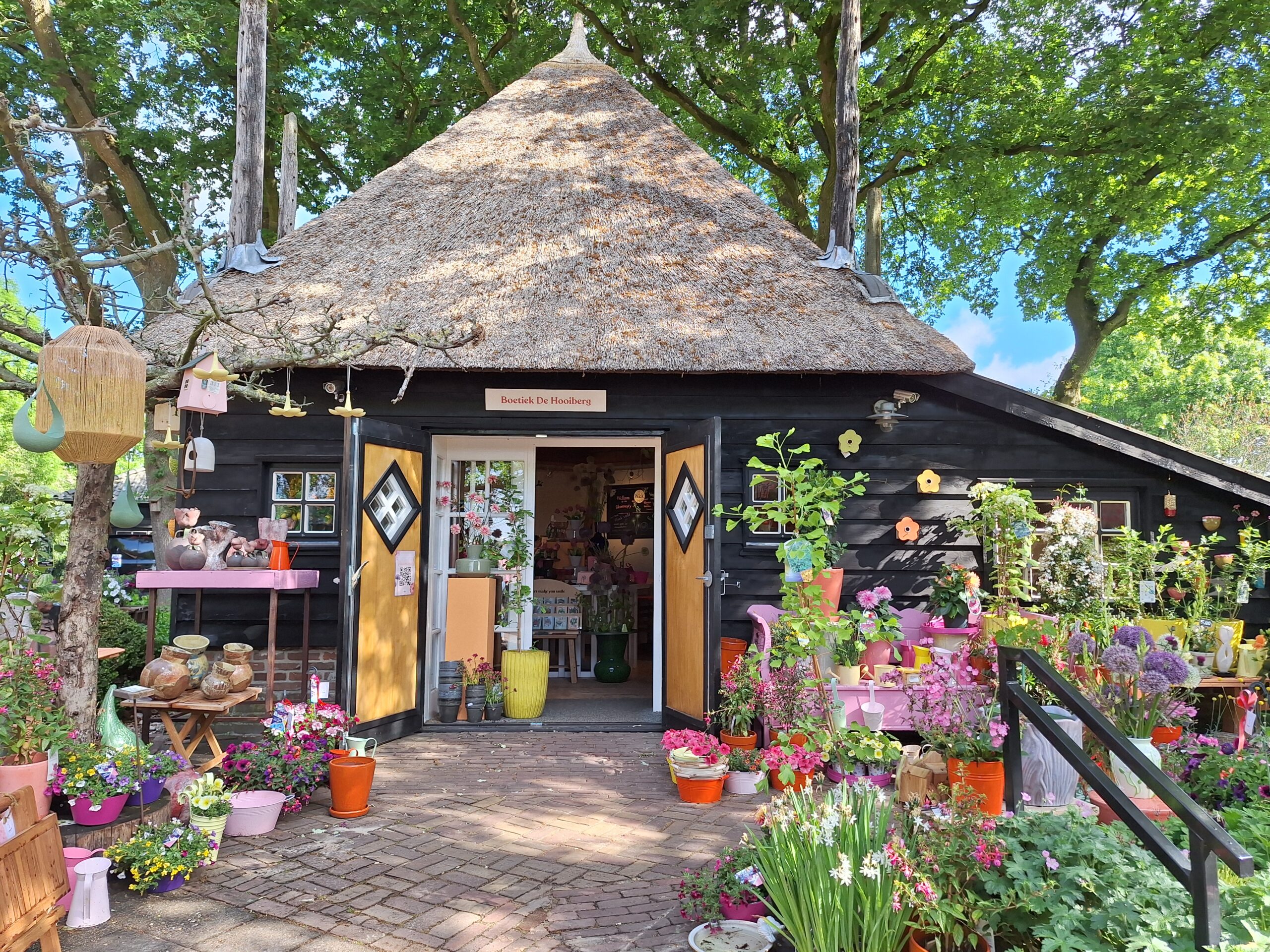 Overijsselse wandeling Witharen 21 mei 2025