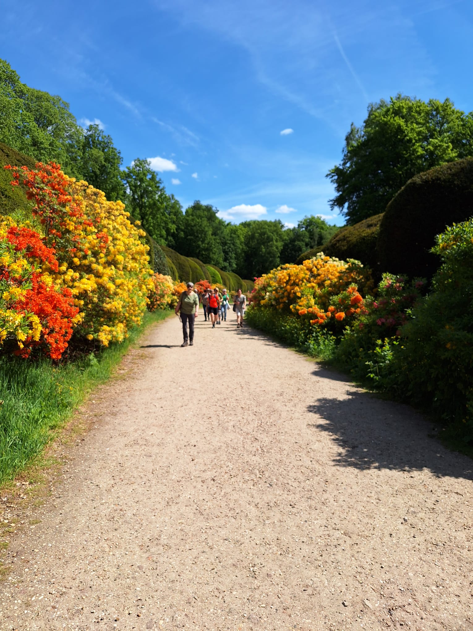 Wandelweekeind Mei 2025
