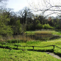 Wandelen