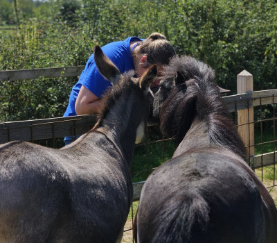 Excursie naar Zorgboerderij De Hezemate