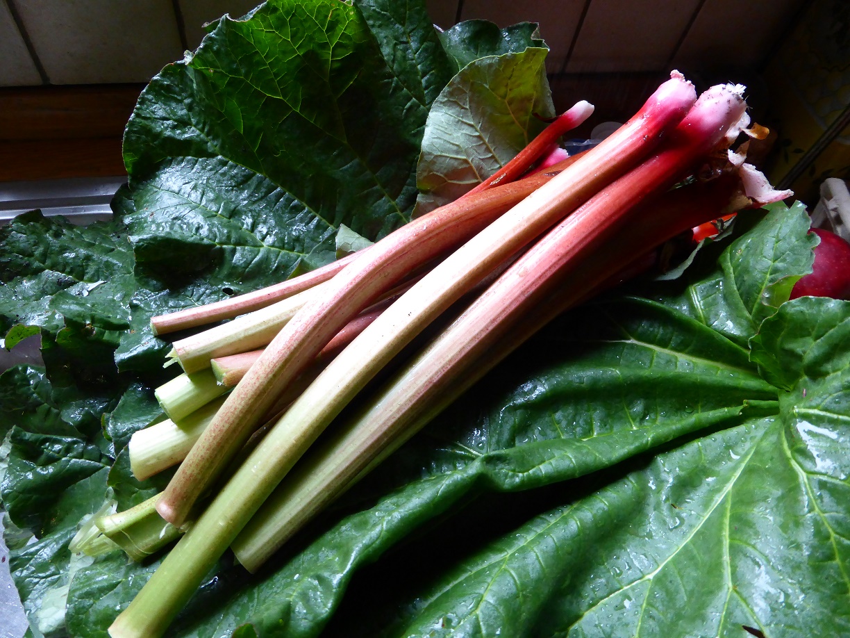 RABARBER AARDBEIEN SMOOTHIE