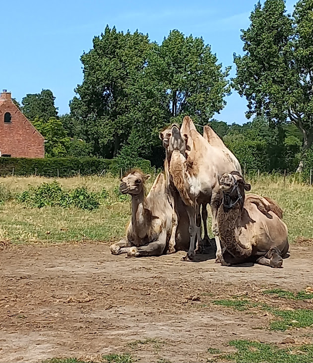 2025-07-09 Fietstocht Wemeldinge