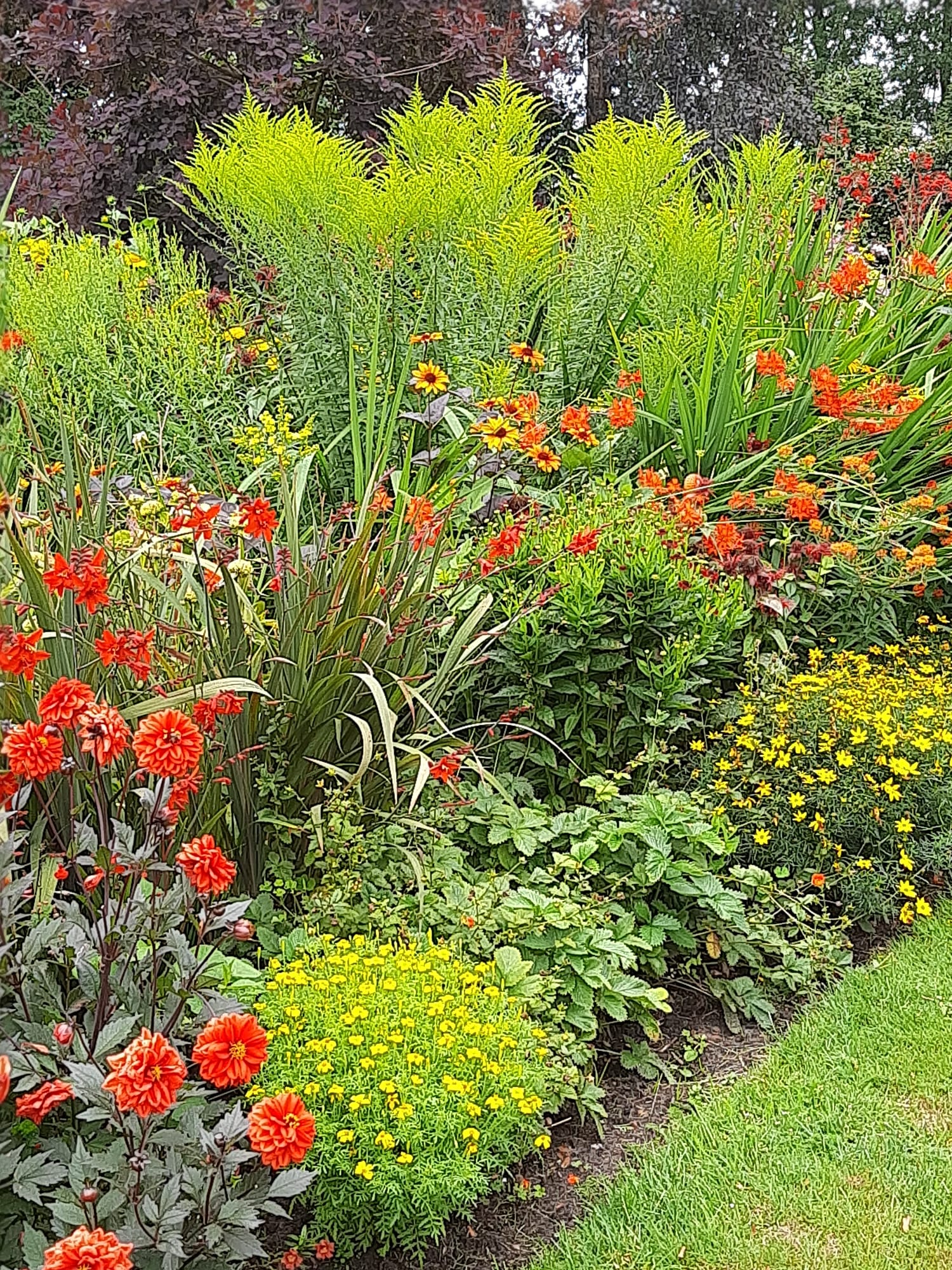 Foto’s van tuinclub ” De Braamboschhoeve” en ”De Oude Keurhof” in Tollebeek op woensdag 23 juli 2025