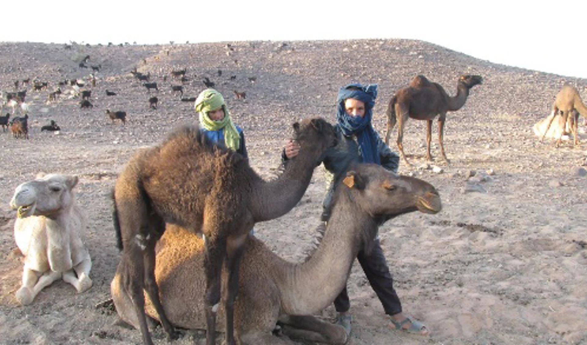 Nomaden in de Sahara