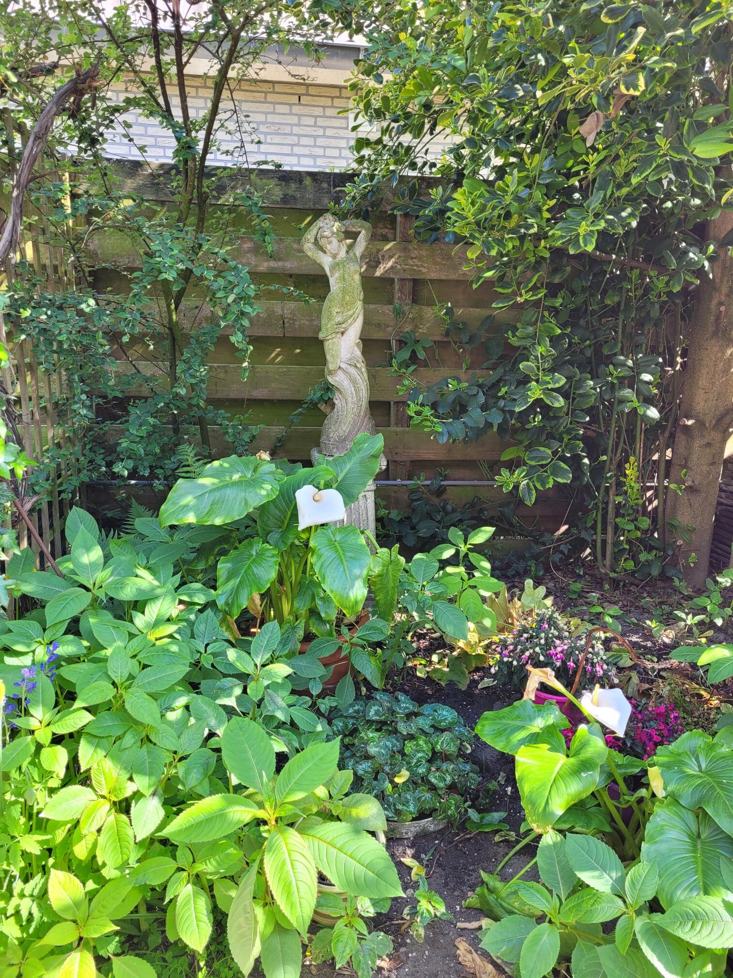 Tuinclub