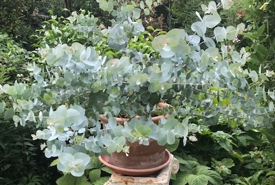 Tuingroep – Bonhoftuin Westerbork
