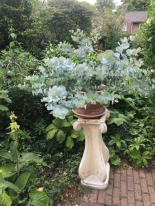Bonhoftuin 3