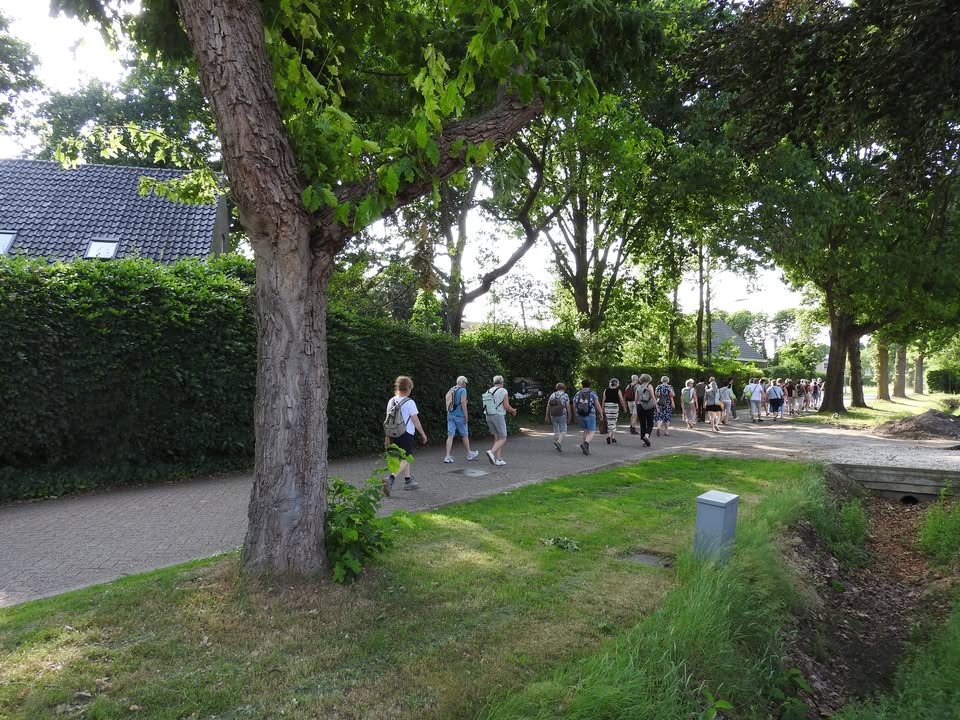 Den Hout
