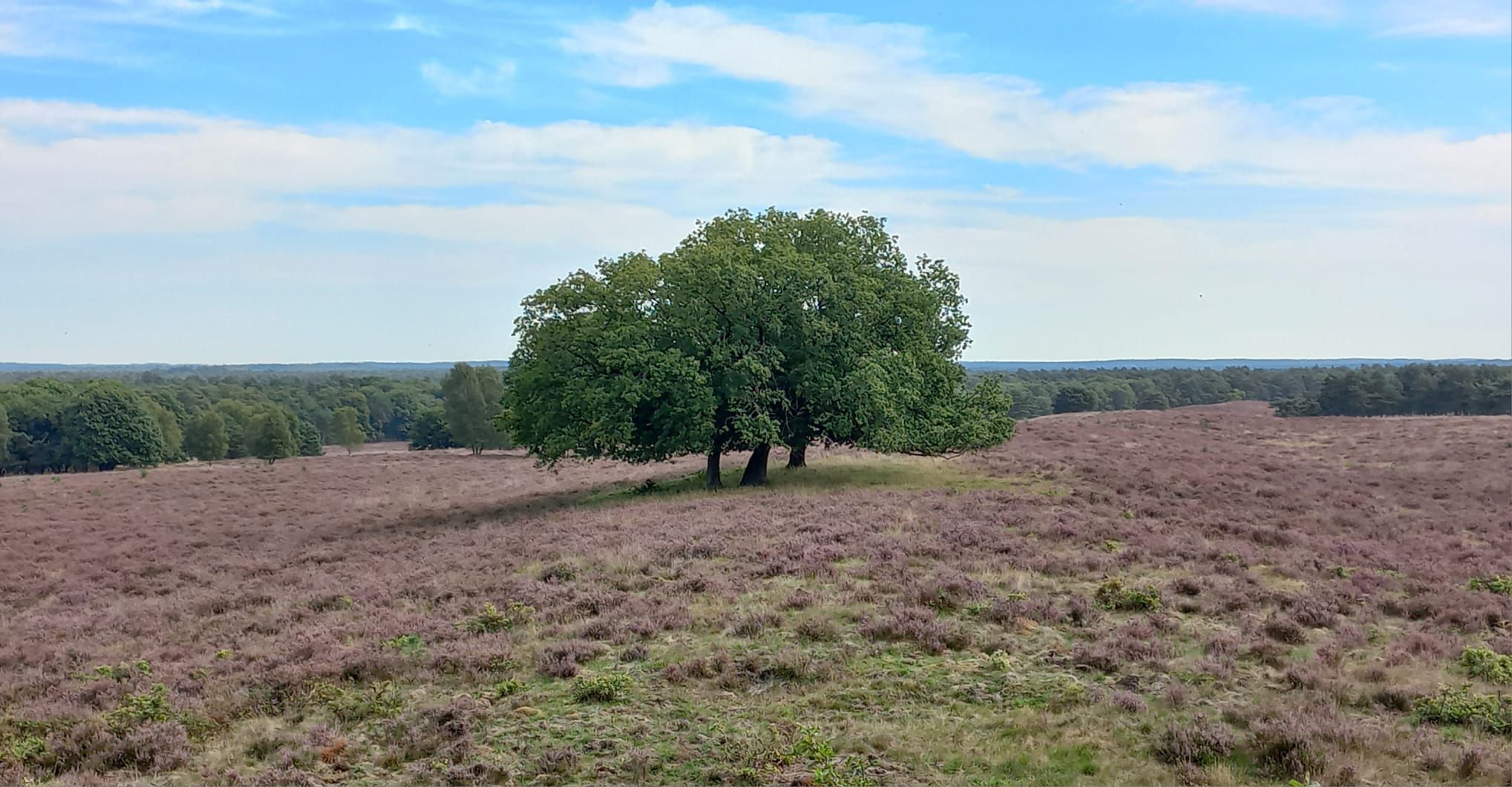 26 augustus 2025 lange wandeling in Ede