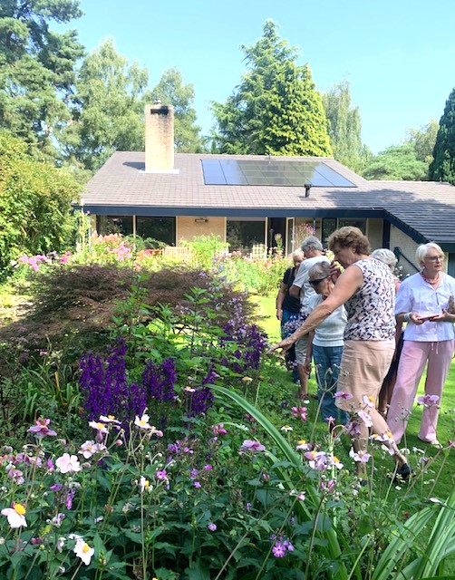 2025 augustus – Bezoek Twel*loten aan de tuin van Leid de Vries in Holten, een prachtige bostuin met mooie oude bomen, een natuurlijke vijver en aantal borders met veel verschillende mooie bloeiende planten.