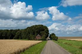 Tussen de Dijken/Het ambonezenbosje